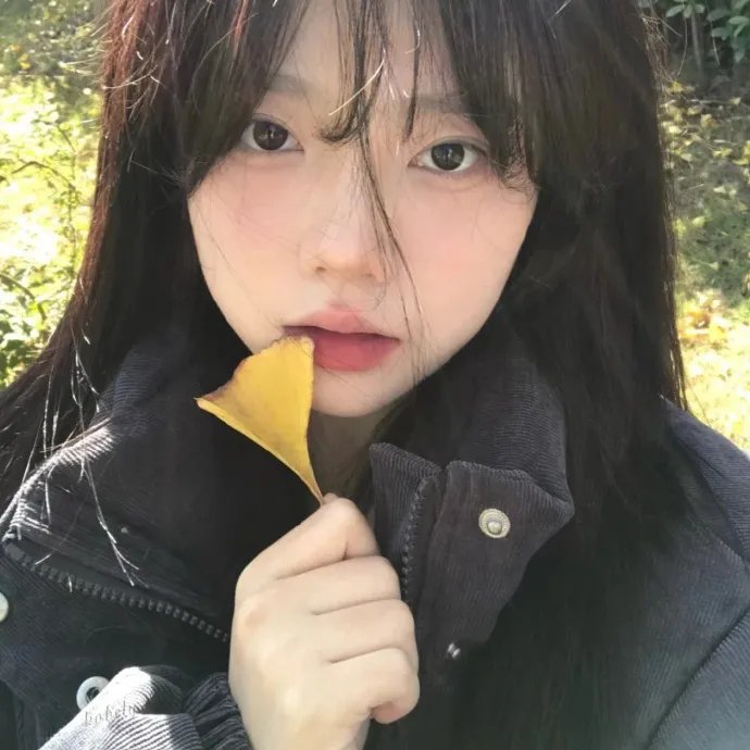 自由协议